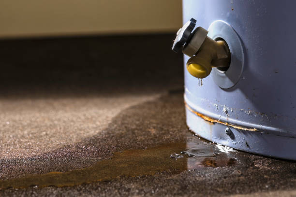 Best Water damage cleanup near me  in Springfield, GA