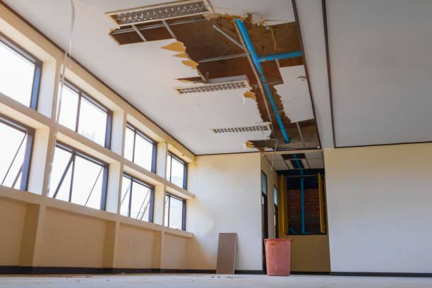 Best Carpet water damage restoration  in Springfield, GA