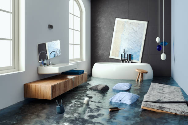 Best Mold removal after water damage  in Springfield, GA