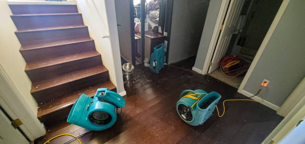 Best Commercial water damage restoration  in Springfield, GA