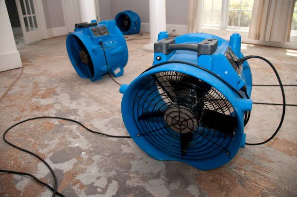 Trusted Springfield, GA Water damage restoration Experts