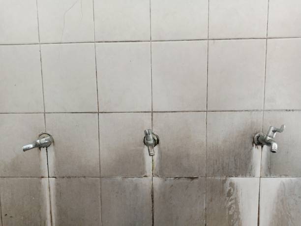 Best Water damage restoration near me  in Springfield, GA