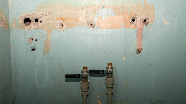 Best Sewage cleanup and water damage restoration  in Springfield, GA
