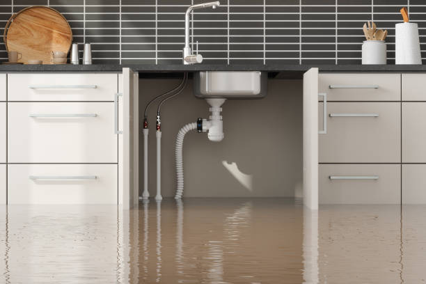 Best Flood damage cleanup  in Springfield, GA