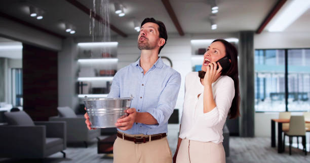 Best Water damage contractors near me  in Springfield, GA