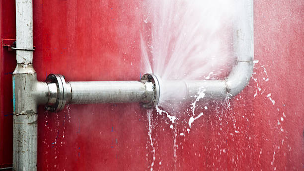 Best Water damage restoration process  in Springfield, GA